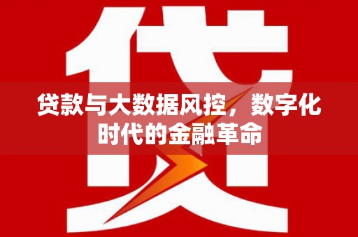 枋山贷款与大数据风控，数字化时代的金融革命