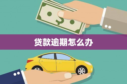 枋山贷款逾期怎么办