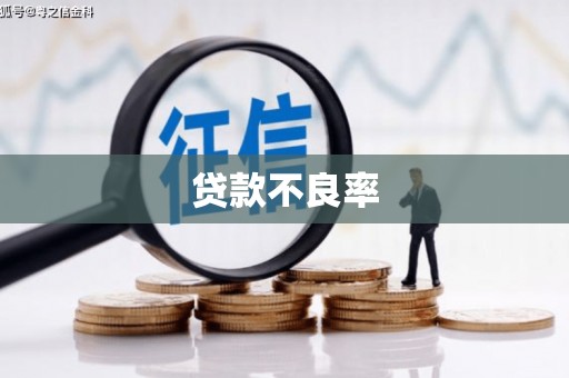 枋山贷款不良率
