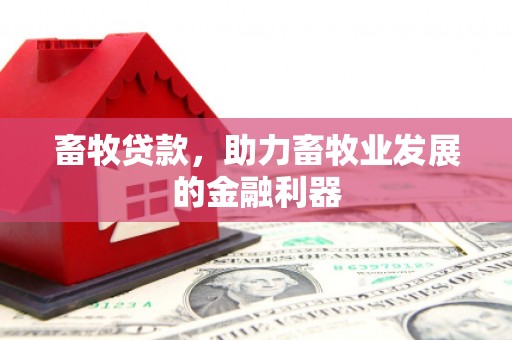 枋山畜牧贷款，助力畜牧业发展的金融利器