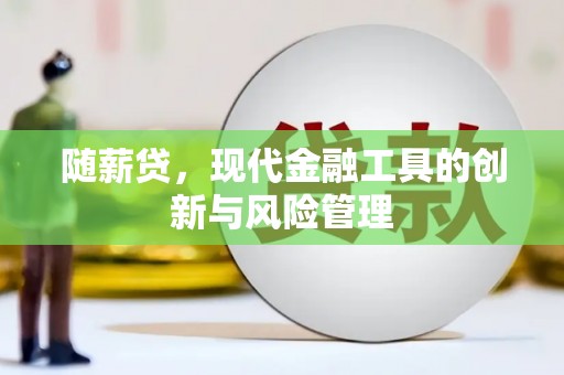 枋山随薪贷，现代金融工具的创新与风险管理