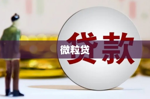 枋山微粒贷