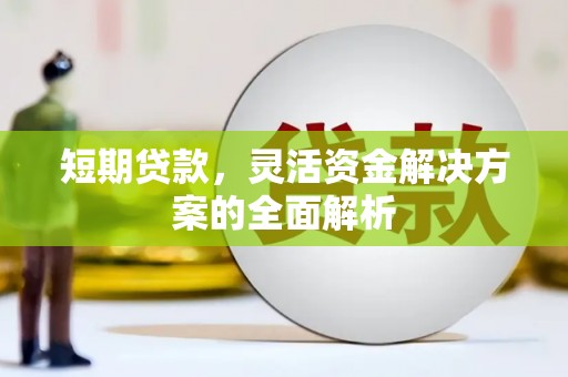 枋山短期贷款，灵活资金解决方案的全面解析