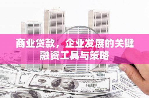 枋山商业贷款，企业发展的关键融资工具与策略
