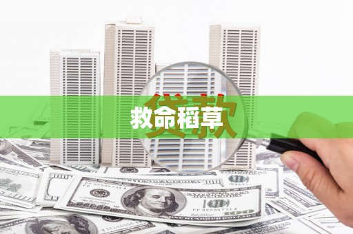 枋山救命稻草