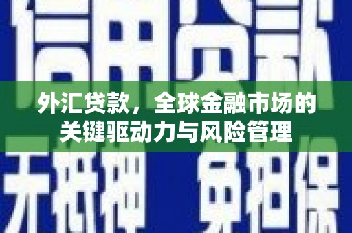 枋山外汇贷款，全球金融市场的关键驱动力与风险管理