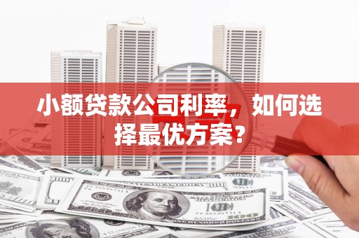 枋山小额贷款公司利率，如何选择最优方案？