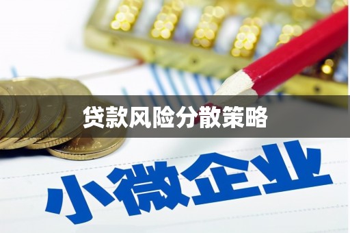 枋山贷款风险分散策略
