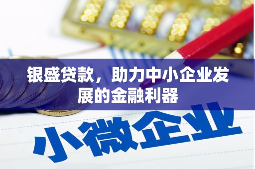 枋山银盛贷款，助力中小企业发展的金融利器