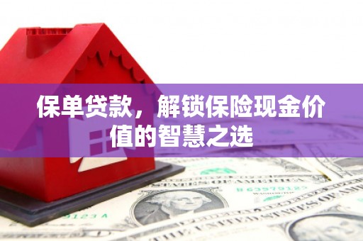 枋山保单贷款，解锁保险现金价值的智慧之选