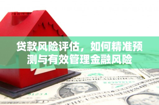 枋山贷款风险评估，如何精准预测与有效管理金融风险