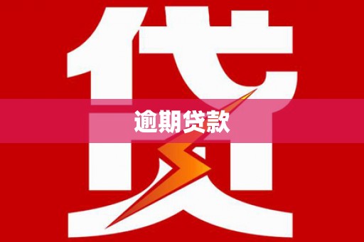 枋山逾期贷款
