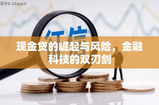 枋山现金贷的崛起与风险，金融科技的双刃剑
