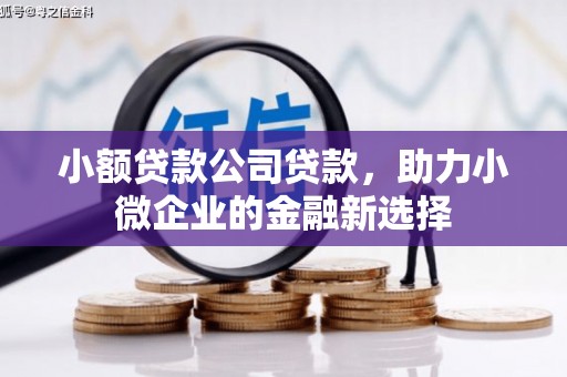 枋山小额贷款公司贷款，助力小微企业的金融新选择