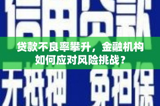 枋山贷款不良率攀升，金融机构如何应对风险挑战？