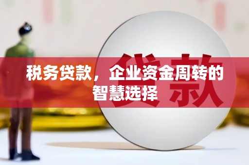 枋山税务贷款，企业资金周转的智慧选择