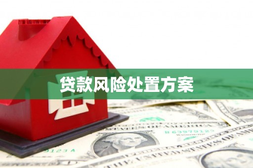枋山贷款风险处置方案