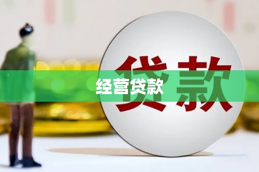 枋山经营贷款
