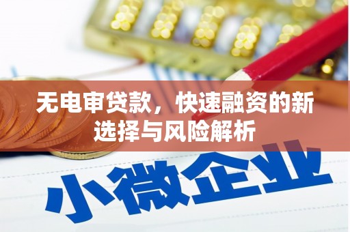 枋山无电审贷款，快速融资的新选择与风险解析