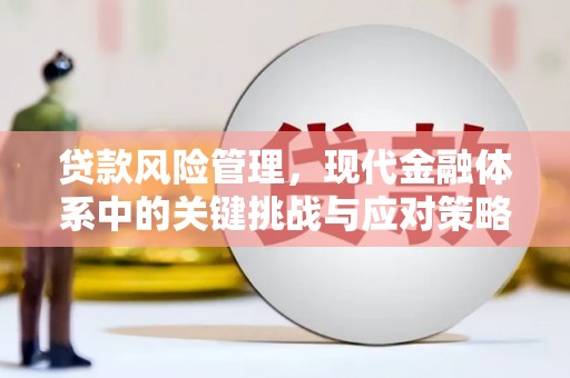 枋山贷款风险管理，现代金融体系中的关键挑战与应对策略