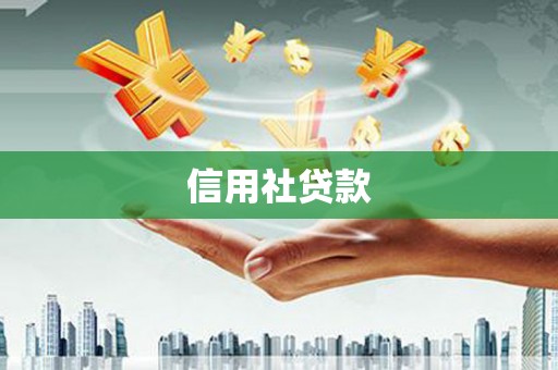 枋山信用社贷款
