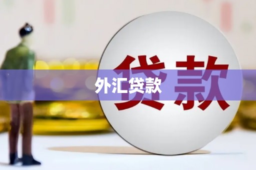 枋山外汇贷款