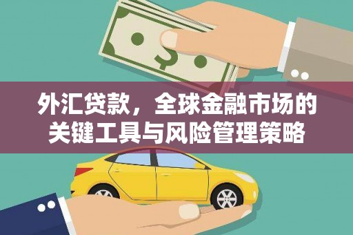 枋山外汇贷款，全球金融市场的关键工具与风险管理策略