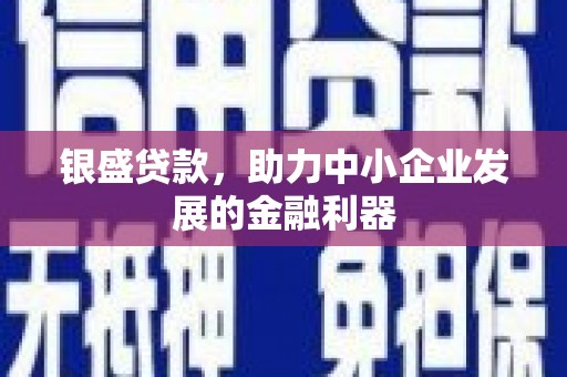 枋山银盛贷款，助力中小企业发展的金融利器