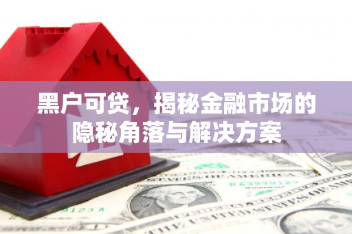 枋山黑户可贷，揭秘金融市场的隐秘角落与解决方案
