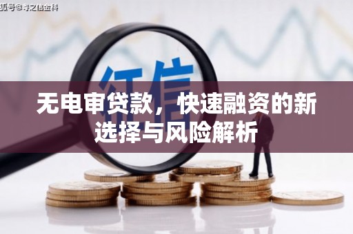 枋山无电审贷款，快速融资的新选择与风险解析