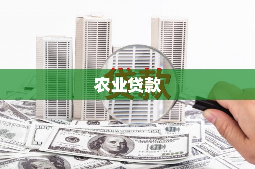 枋山农业贷款