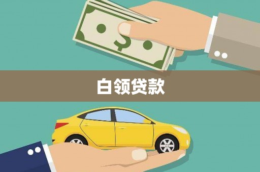 枋山白领贷款
