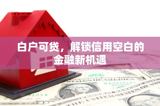 枋山白户可贷，解锁信用空白的金融新机遇