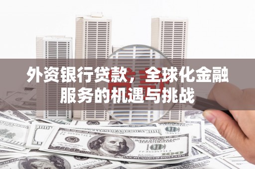 枋山外资银行贷款，全球化金融服务的机遇与挑战
