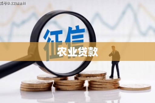 枋山农业贷款