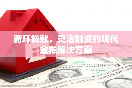 枋山循环贷款，灵活融资的现代金融解决方案