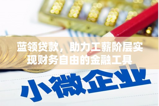 枋山蓝领贷款，助力工薪阶层实现财务自由的金融工具