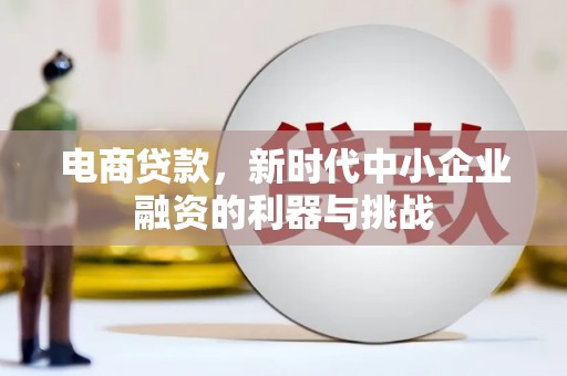 枋山电商贷款，新时代中小企业融资的利器与挑战