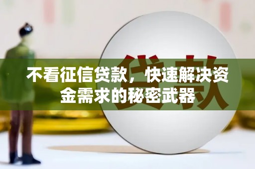 枋山不看征信贷款，快速解决资金需求的秘密武器