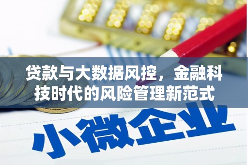枋山贷款与大数据风控，金融科技时代的风险管理新范式