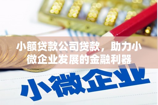 枋山小额贷款公司贷款，助力小微企业发展的金融利器