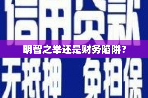 枋山明智之举还是财务陷阱？