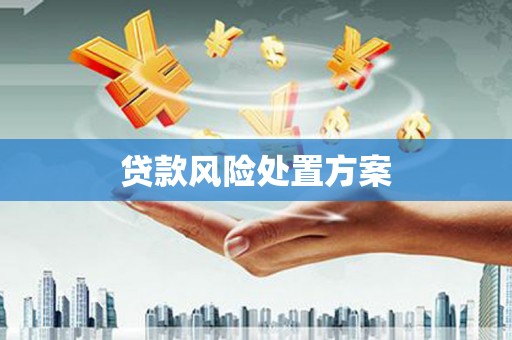 枋山贷款风险处置方案