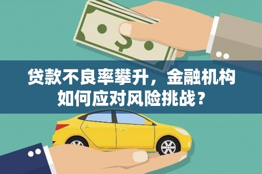 枋山贷款不良率攀升，金融机构如何应对风险挑战？