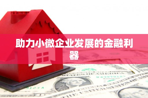 枋山助力小微企业发展的金融利器