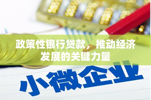 枋山政策性银行贷款，推动经济发展的关键力量