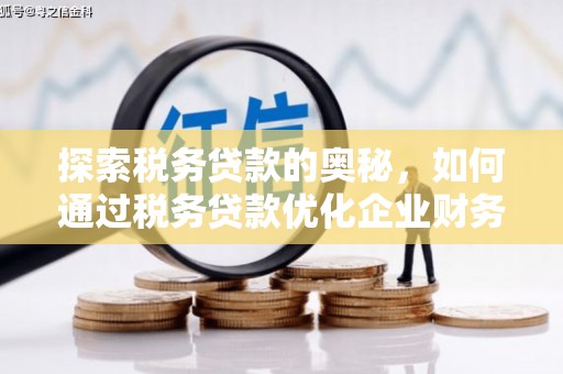 枋山探索税务贷款的奥秘，如何通过税务贷款优化企业财务