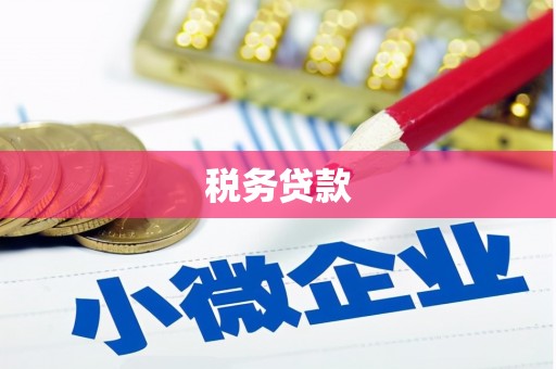 枋山税务贷款