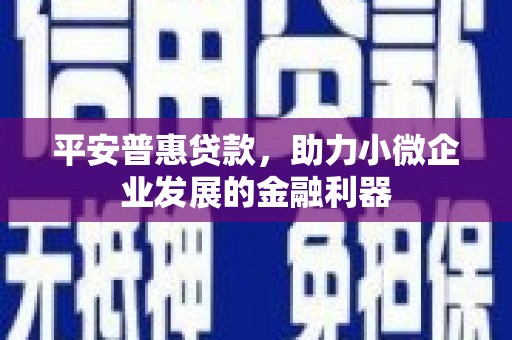 枋山平安普惠贷款，助力小微企业发展的金融利器