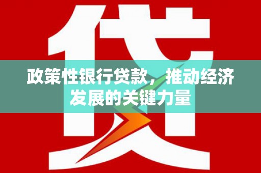 枋山政策性银行贷款，推动经济发展的关键力量